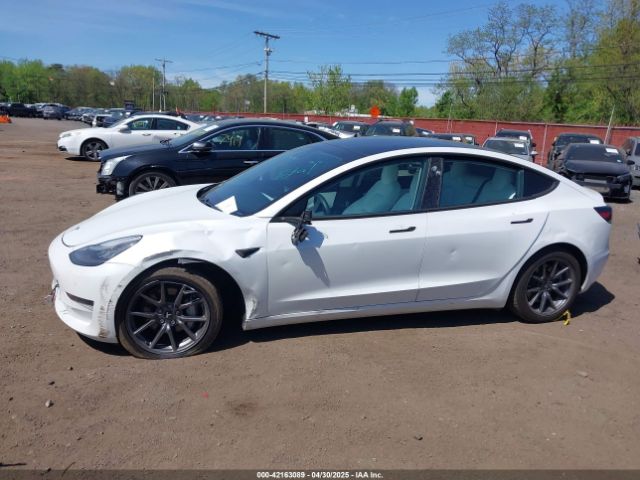 2019 TESLA MODEL 3 5YJ3E1EB3KF450602 Photo 5