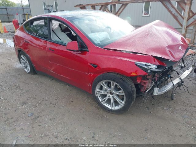 2021 TESLA MODEL Y 5YJYGDEE3MF173321