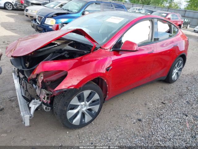 2021 TESLA MODEL Y 5YJYGDEE3MF173321 Photo 1