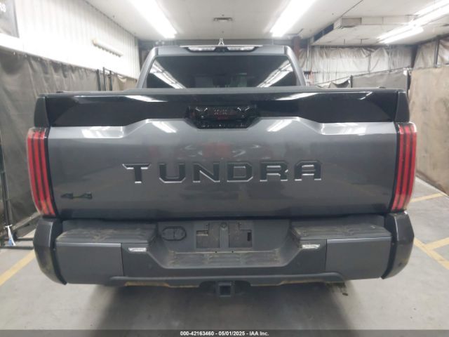 5TFNA5DB6RX208688 Toyota Tundra Platinum 4wd