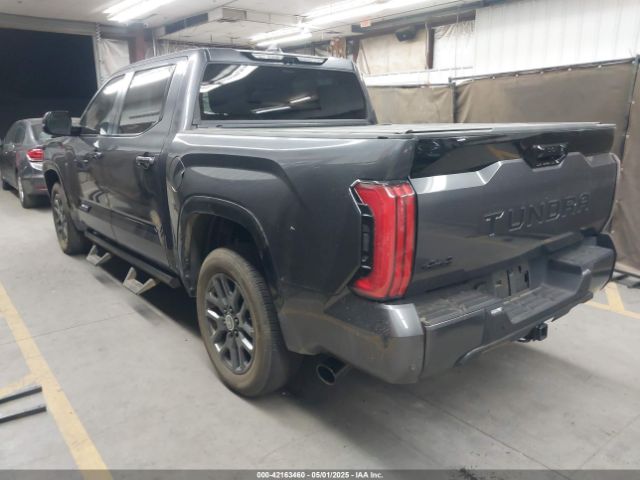 5TFNA5DB6RX208688 Toyota Tundra Platinum 4wd