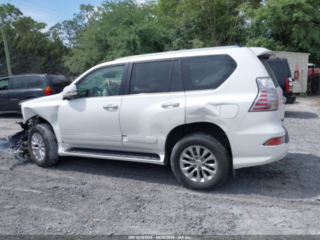 JTJBM7FX2J5196356 Lexus GX 460