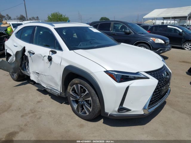2024 LEXUS UX 250H JTHX6JBHXR2186541