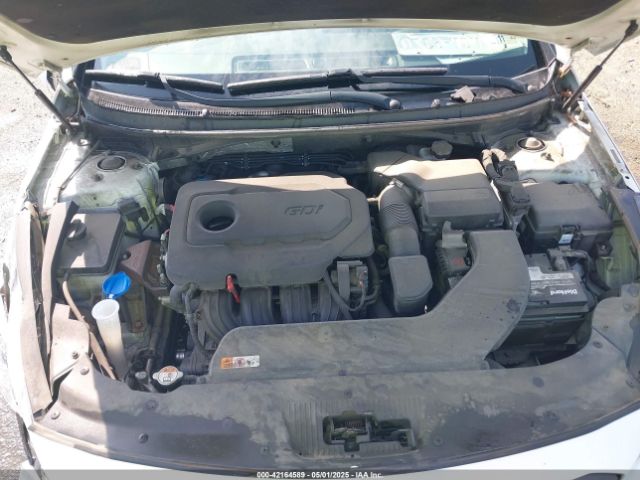 5NPE34AF4FH104316 Hyundai Sonata Sport
