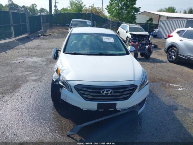 5NPE34AF4FH104316 Hyundai Sonata Sport