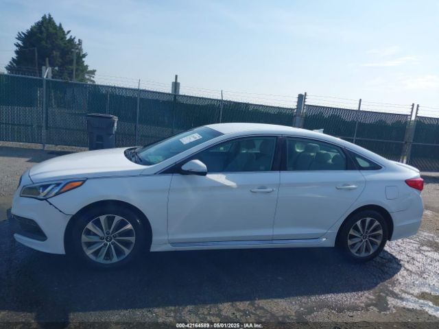 5NPE34AF4FH104316 Hyundai Sonata Sport
