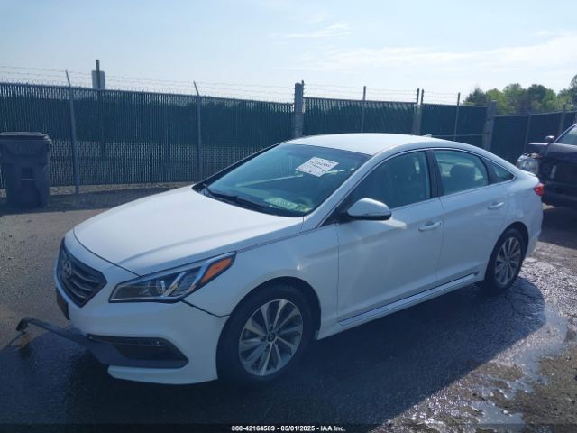 5NPE34AF4FH104316 Hyundai Sonata Sport