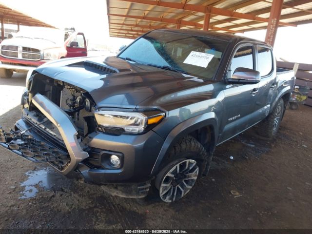3TMCZ5AN6PM577729 Toyota Tacoma Trd Sport