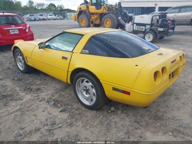 1995 CHEVROLET CORVETTE 1G1YY22P7S5110396 Photo 2