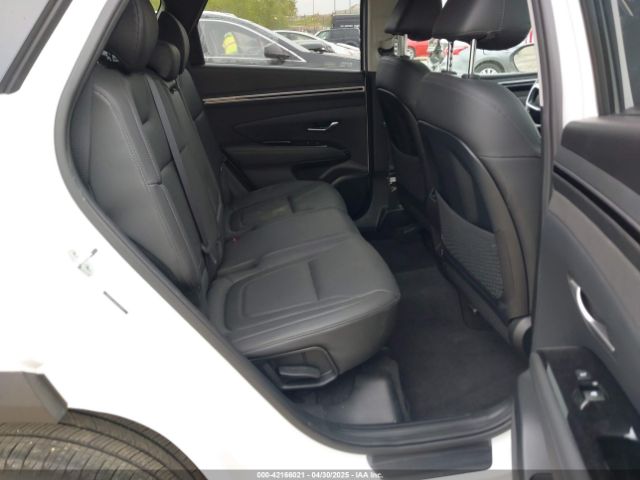 2023 HYUNDAI TUCSON 5NMJECAE1PH250973 Photo 7