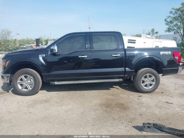 1FTEW3LP6RKF53297 Ford F-150 Xlt