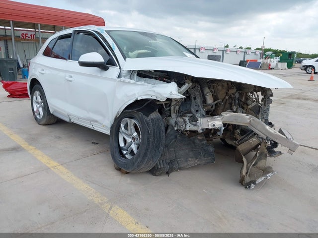 2019 AUDI Q5 WA1ANAFY5K2115347 Photo 0