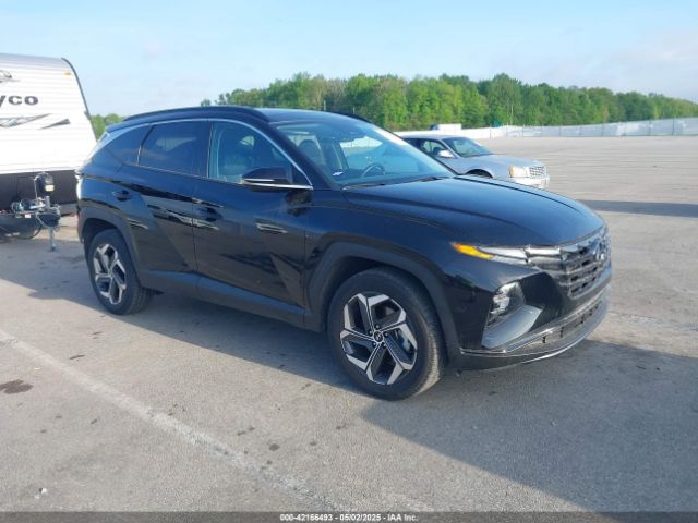2024 HYUNDAI TUCSON 5NMJECDE5RH372718