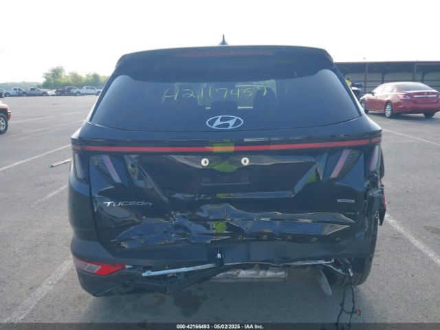 2024 HYUNDAI TUCSON 5NMJECDE5RH372718 Photo 5