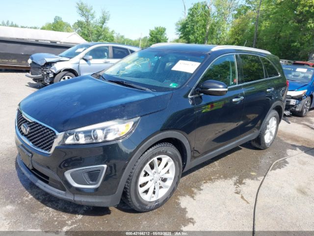 5XYPG4A52GG151163 KIA Sorento 3.3l Lx