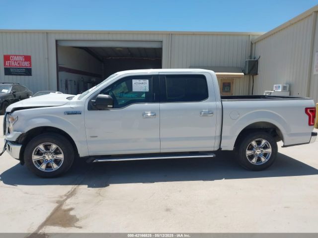 1FTEW1CP3FFA53736 Ford F-150 Xlt