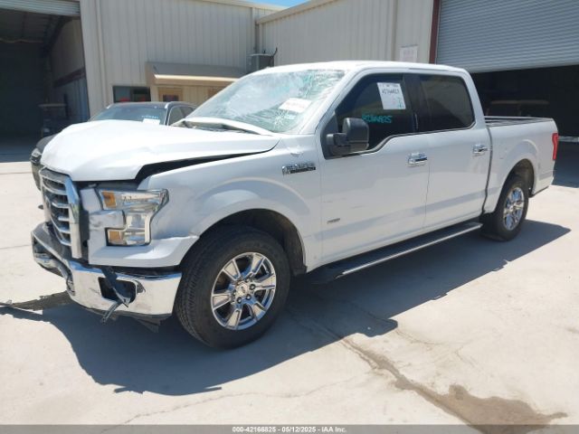 1FTEW1CP3FFA53736 Ford F-150 Xlt