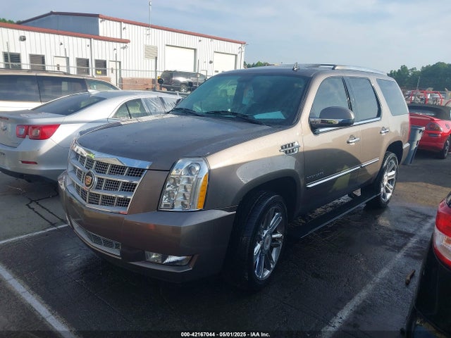 2013 CADILLAC ESCALADE 1GYS4DEF8DR282059 Photo 1
