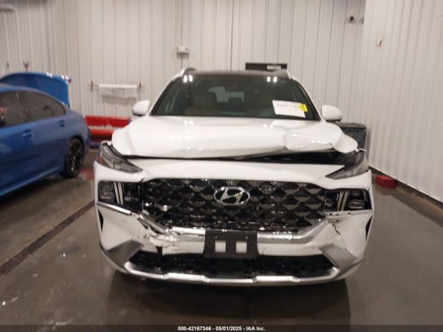 5NMS5DAL1NH436678 Hyundai Santa Fe Calligraphy