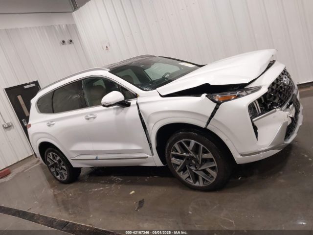 5NMS5DAL1NH436678 Hyundai Santa Fe Calligraphy