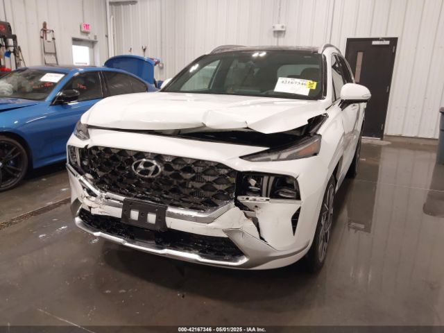 5NMS5DAL1NH436678 Hyundai Santa Fe Calligraphy