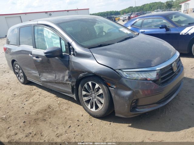 2024 HONDA ODYSSEY 5FNRL6H60RB071028