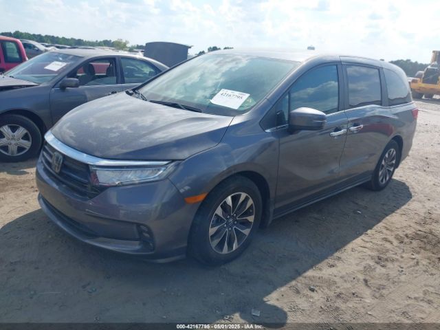 2024 HONDA ODYSSEY 5FNRL6H60RB071028 Photo 1