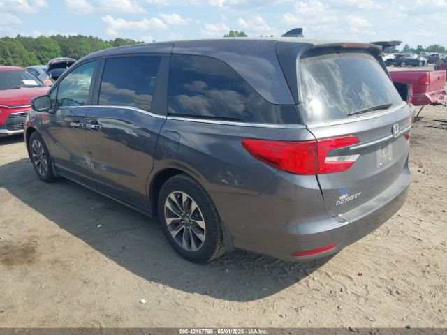 2024 HONDA ODYSSEY 5FNRL6H60RB071028 Photo 2