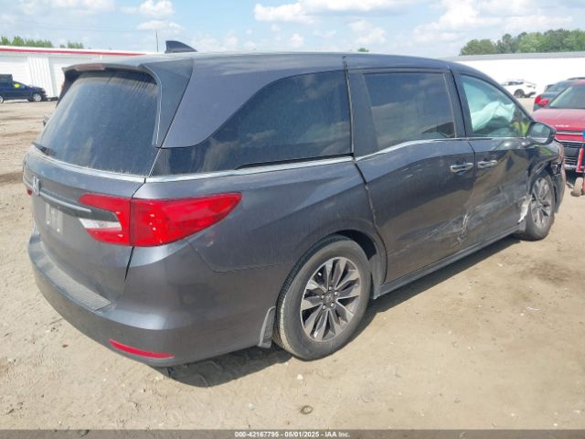 2024 HONDA ODYSSEY 5FNRL6H60RB071028 Photo 3