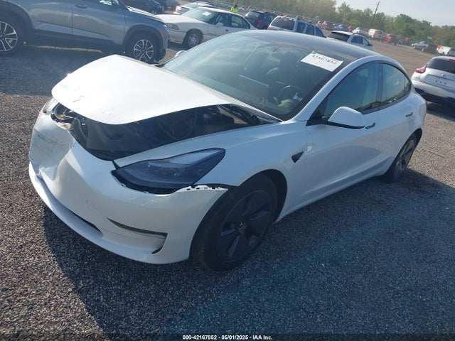 2023 TESLA MODEL 3 5YJ3E1EA1PF621698 Photo 1