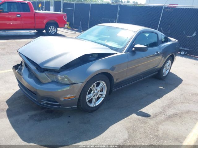 2013 FORD MUSTANG 1ZVBP8AM5D5225864 Photo 1