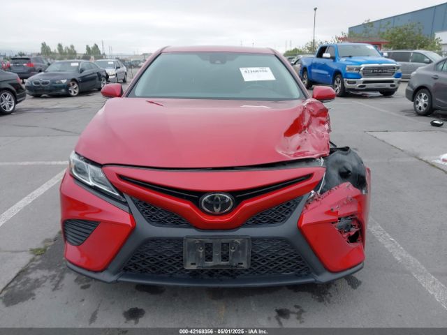 4T1M11AK7LU382296 Toyota CAMRY SE
