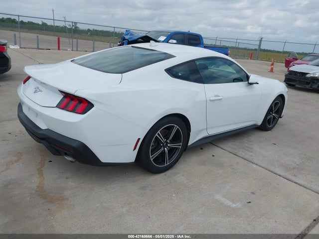 Ford 4v 2024 1FA6P8TH3R5139955 Image 4