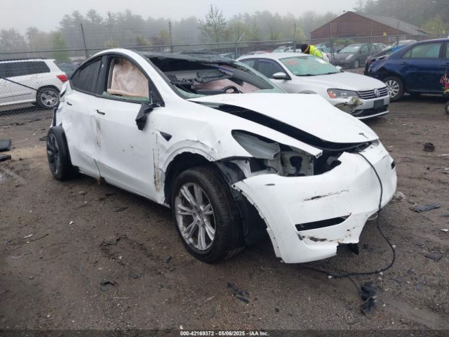 2024 TESLA MODEL Y 7SAYGDEE8RA258565
