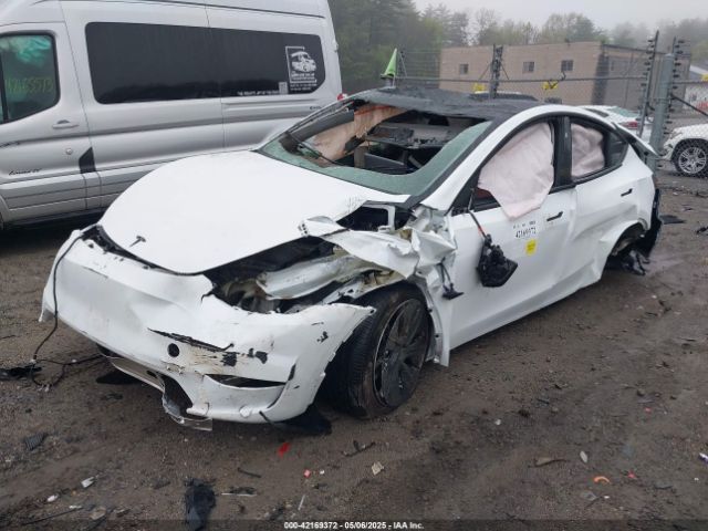 2024 TESLA MODEL Y 7SAYGDEE8RA258565 Photo 1