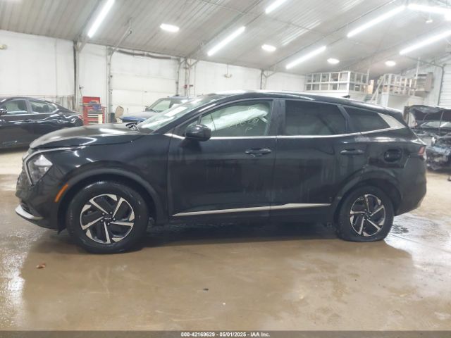 KNDPUCAG7P7015662 KIA Sportage Hybrid Lx