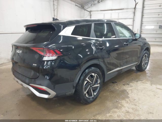 KNDPUCAG7P7015662 KIA Sportage Hybrid Lx