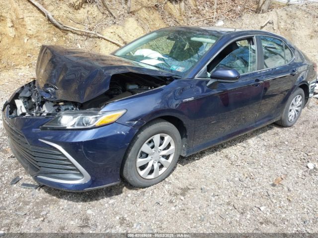 4T1C31AK0MU031298 Toyota Camry Le Hybrid