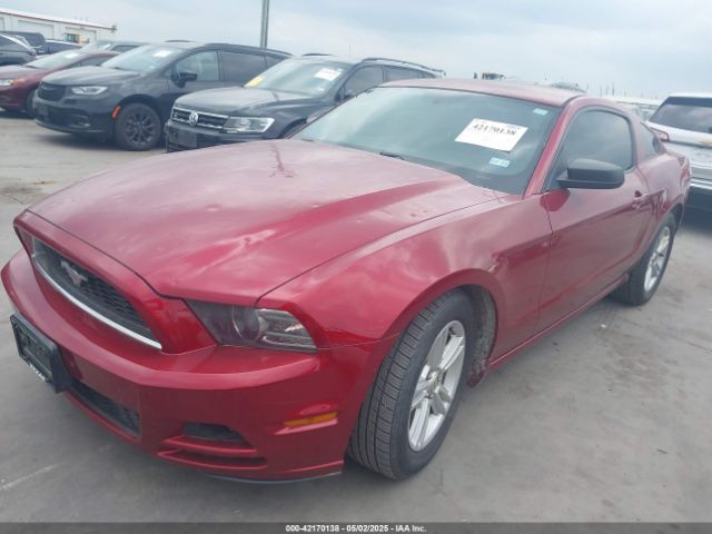 2014 FORD MUSTANG 1ZVBP8AM3E5332204 Photo 1