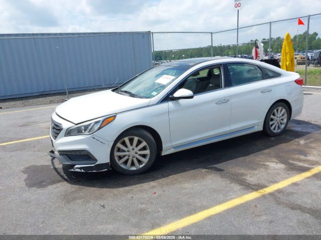 5NPE34AF7GH341805 Hyundai Sonata Limited
