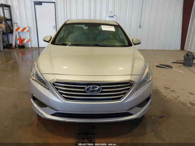 5NPE24AF1HH519230 Hyundai Sonata