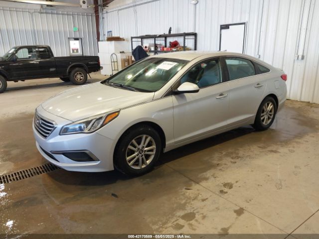 5NPE24AF1HH519230 Hyundai Sonata