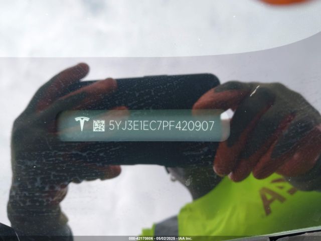 2023 TESLA MODEL 3 5YJ3E1EC7PF420907 Photo 8