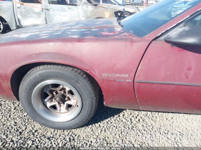 1987 CHEVROLET CAMARO 1G1FP21H7HL138837 Photo 5