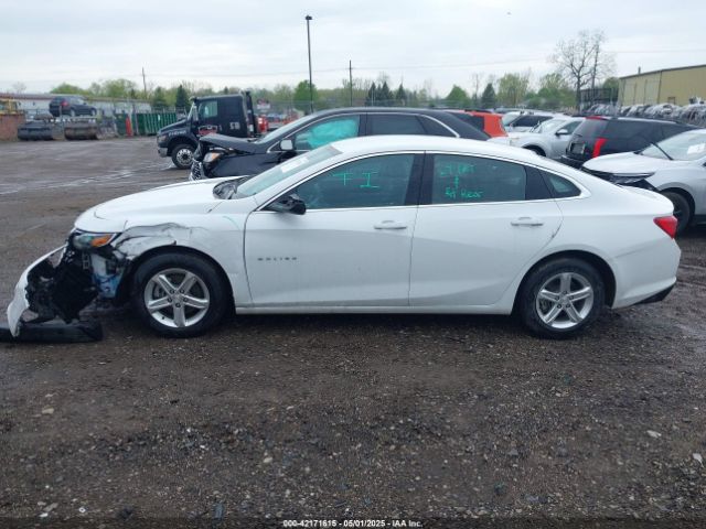 1G1ZD5ST5PF229709 Chevrolet Malibu Fwd 1lt