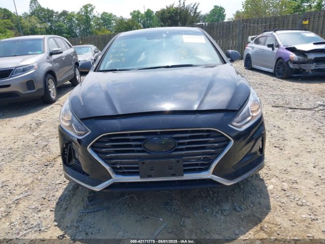 5NPE24AFXKH743247 Hyundai SONATA SE