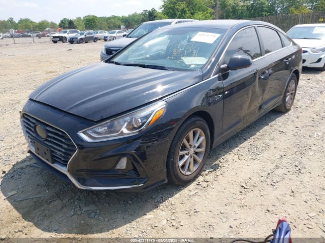 5NPE24AFXKH743247 Hyundai SONATA SE