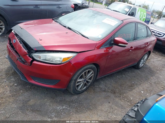 1FADP3F21FL296327 Ford FOCUS SE