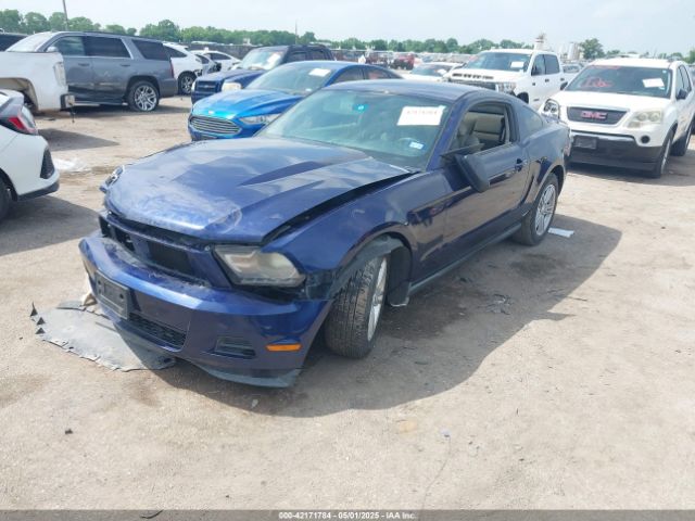 2010 FORD MUSTANG 1ZVBP8AN9A5140305 Photo 1