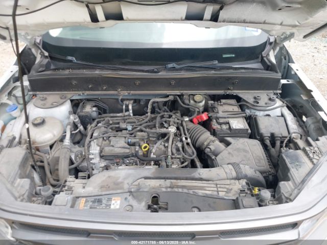 3FMCR9B66MRB41116 Ford dragon